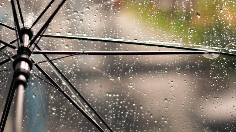 Rain hitting an umbrella