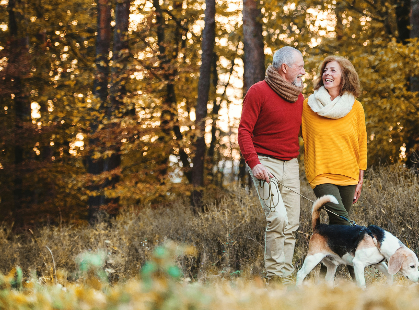 Couple walking with dog